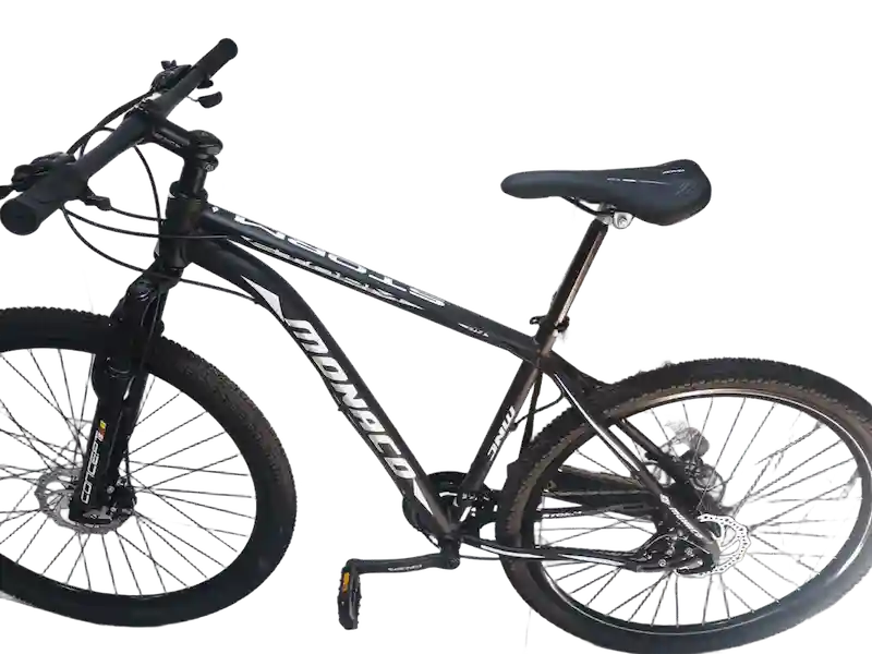 Bicicleta monaco aro 29